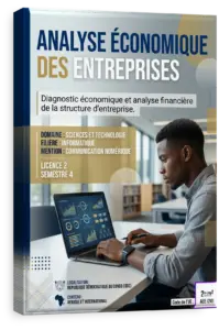 Analyse économique des entreprises