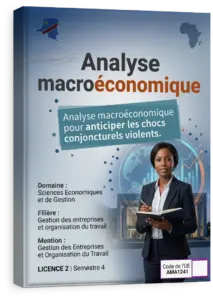Analyse macroéconomique