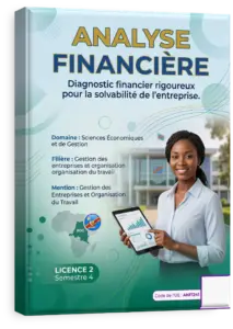 Analyse Financière