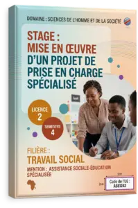 Insertion professionnelle 2