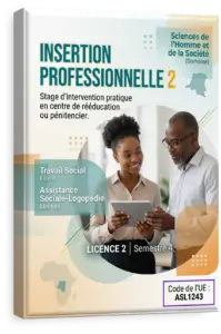 Insertion professionnelle 2