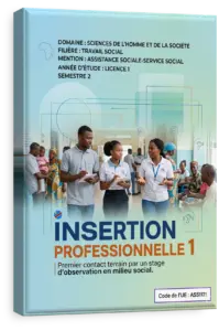 Insertion professionnelle 1