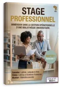Stage Professionnel