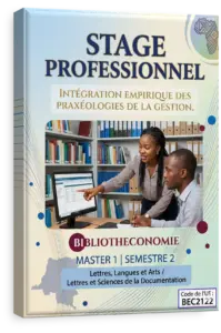 Stage Professionnel