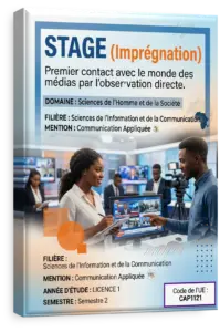 Activités d'intégration professionnelle (Stage)