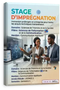 Activités d'intégration professionnelle