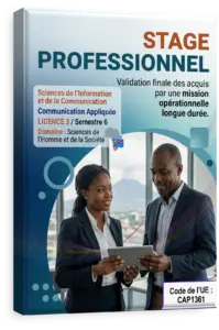 Activités d'intégration professionnelle (Stage final)