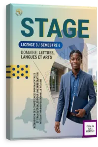 Stage (un mois)