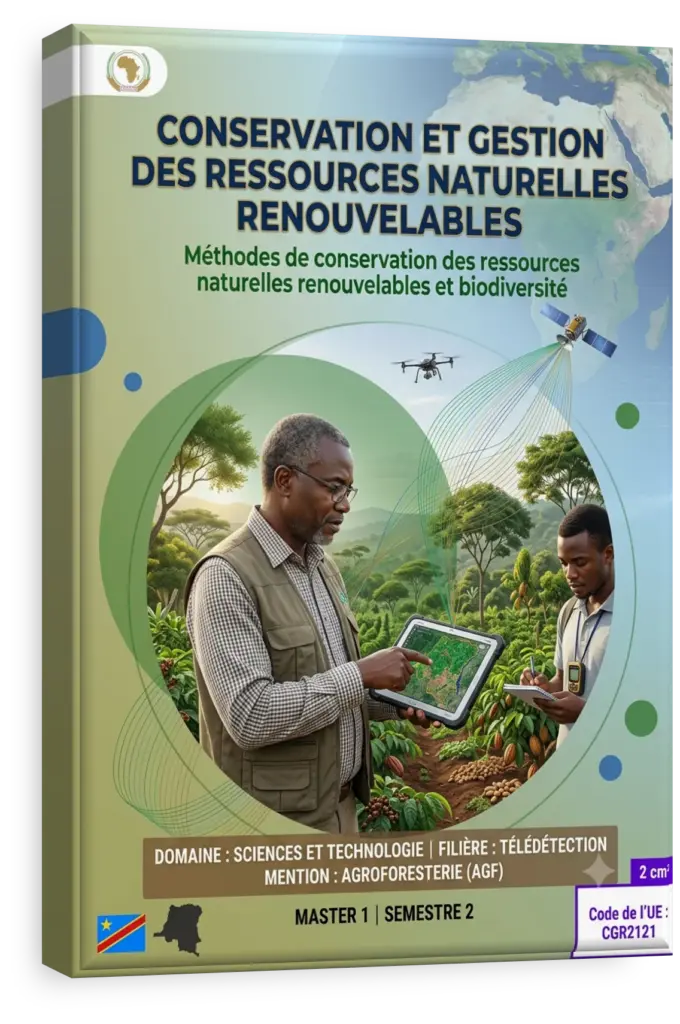 Forêt luxuriante du bassin du Congo en RDC.