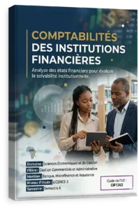 Comptabilités des institutions financières