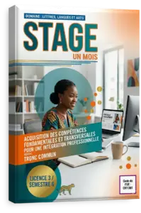 Stage (un mois)