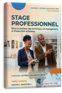 Stage professionnel