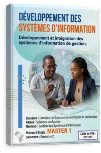 Développement des systèmes d'information