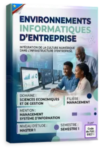 Environnements informatiques d'entreprise