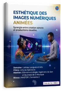 Esthétique des images numériques animées