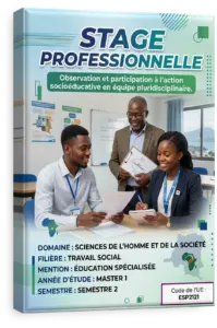 Stage professionnelle
