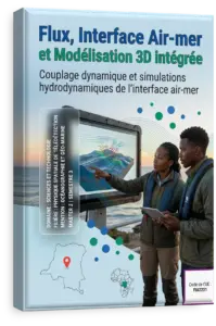 Flux, Interface Air-mer et Modélisation 3D intégrée