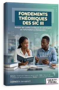Fondements théoriques des SIC III