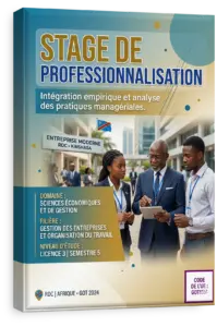 Stage de professionnalisation
