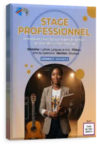 Stage professionnel