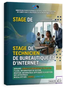 Stage de technicien de bureautique et d'Internet