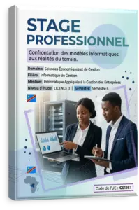 Stage professionnel