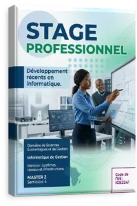 Stage professionnel