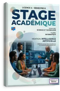 Stage Académique