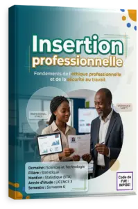 Insertion professionnelle