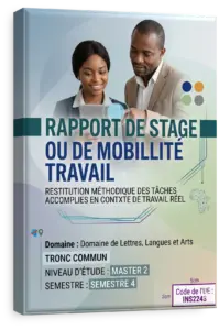Rapport de stage ou de mobilité travail