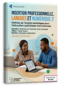 Insertion professionnelle, langues et numérique 2