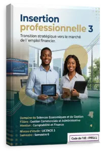 Insertion professionnelle 3