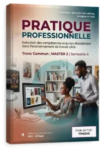Pratique professionnelle