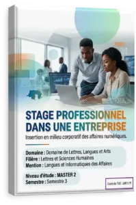 Stage professionnel dans une entreprise