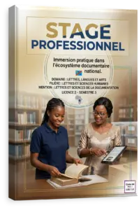 Stage Professionnel
