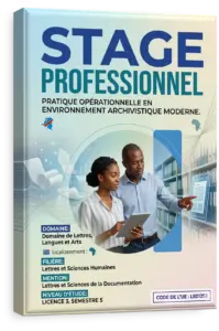 Stage Professionnel