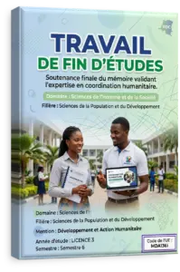 Travail de Fin d'Études