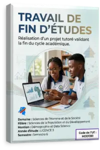 Travail de Fin de d’Études