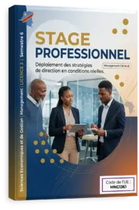 Stage professionnel