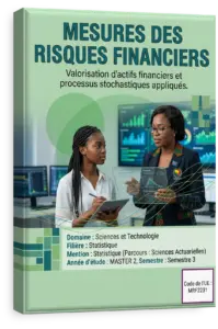 Mesures des risques financiers
