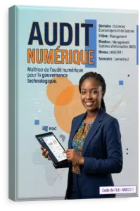 Audit Numérique