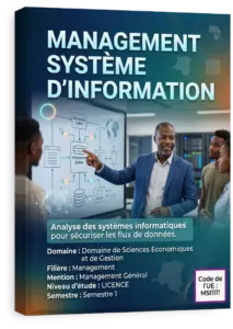 Management Système d'Information