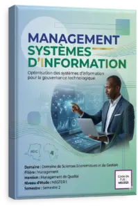 Management systèmes d'information