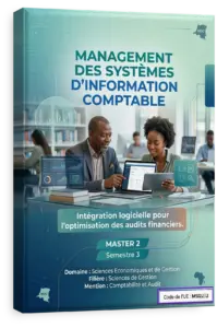 Management des systèmes d'information comptable