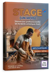 Stage (un mois)