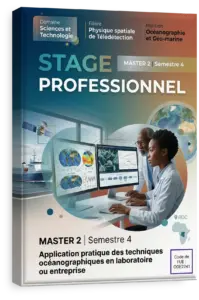 Stage Professionnel