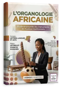 L'organologie africaine