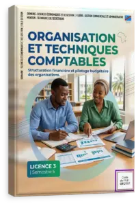 Organisation et techniques comptables