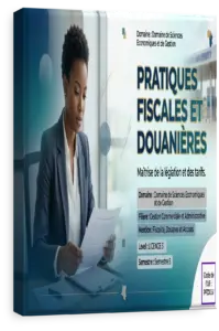Pratiques fiscales et douanières