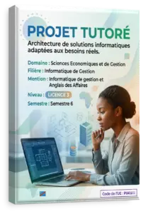 Projet Professionnel Personnalisé (tutoré)